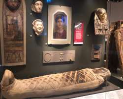 The museum owns a range of exhibits including mammoths, Egyptian mummies, and Viking ornaments. You can study about the culture these things belong an